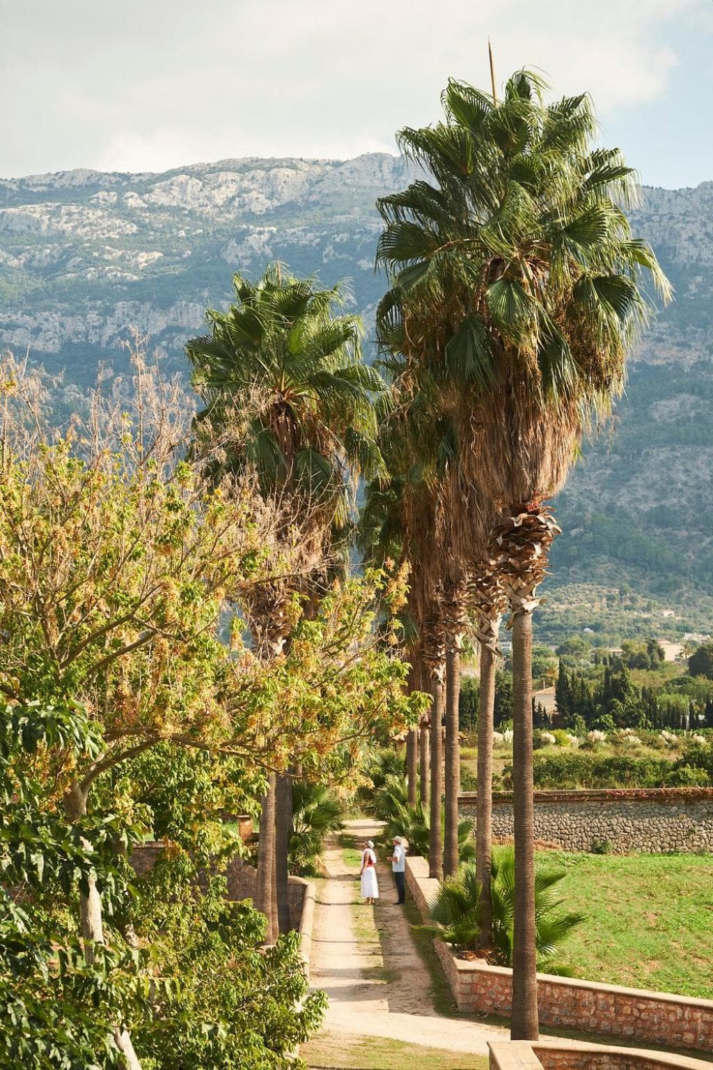 Hotel Finca Ca N'ai - Adults Only — 21