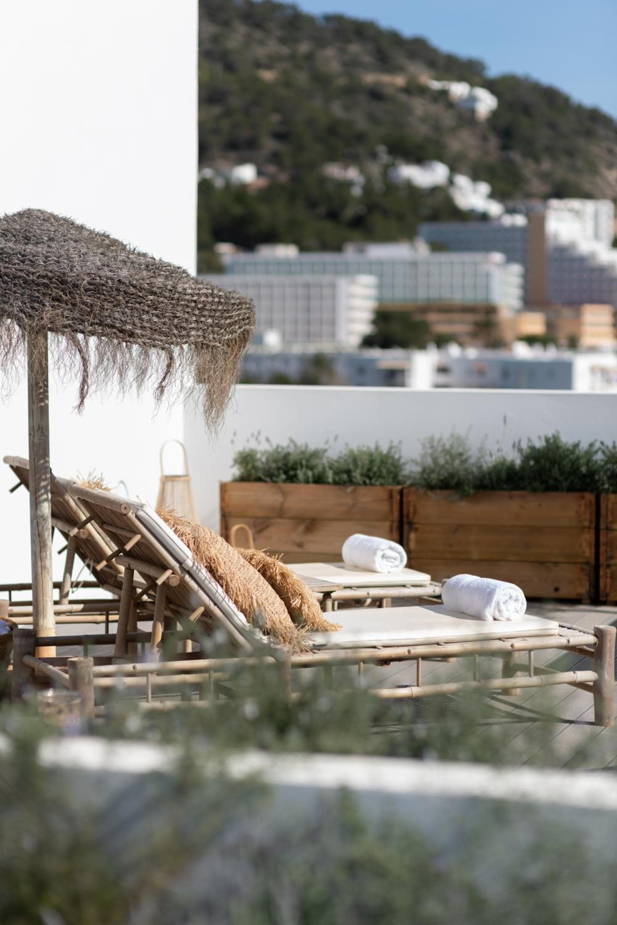 The Olive Boutique Suites & Spa — 11