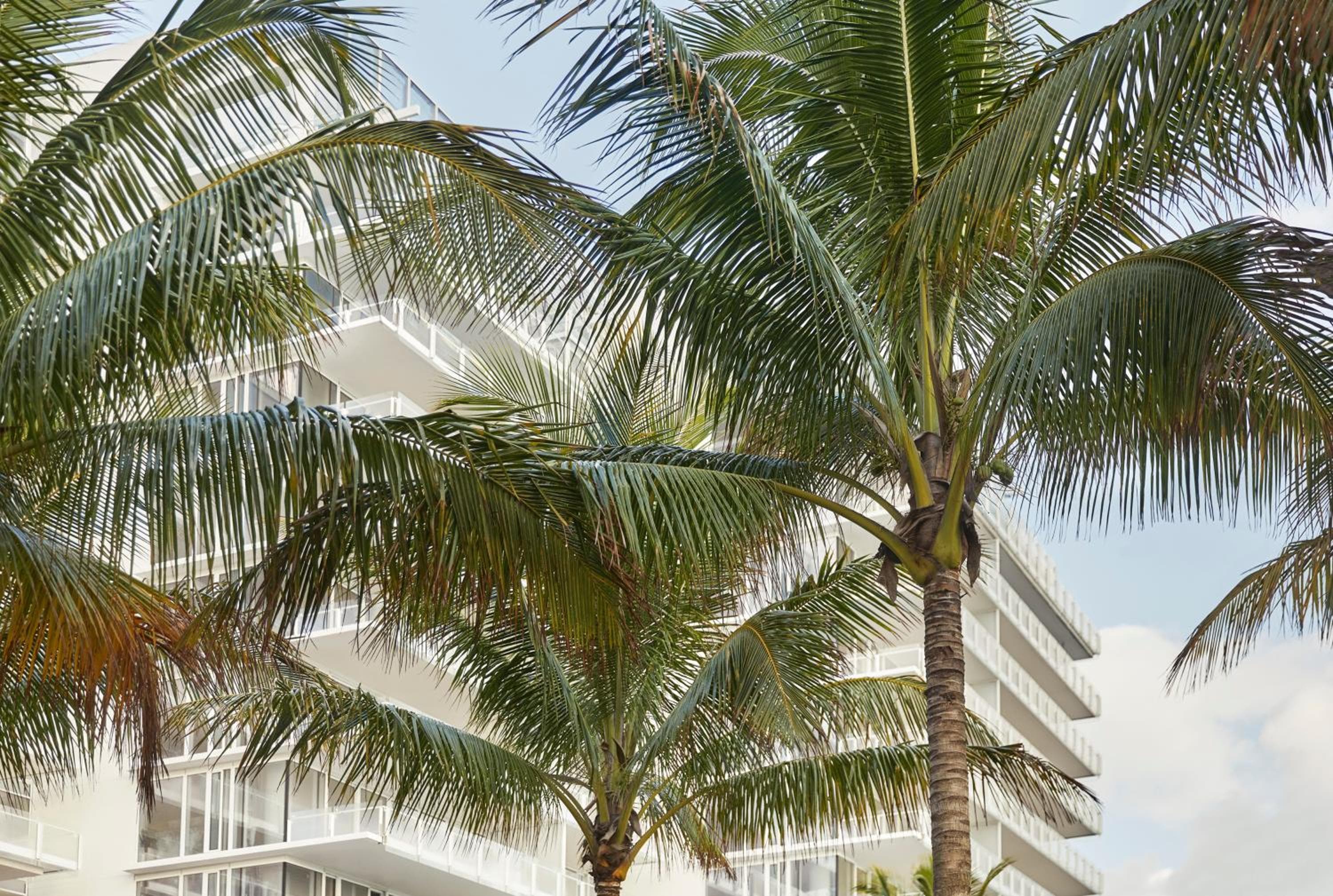 Four Seasons Hotel at The Surf Club — 28