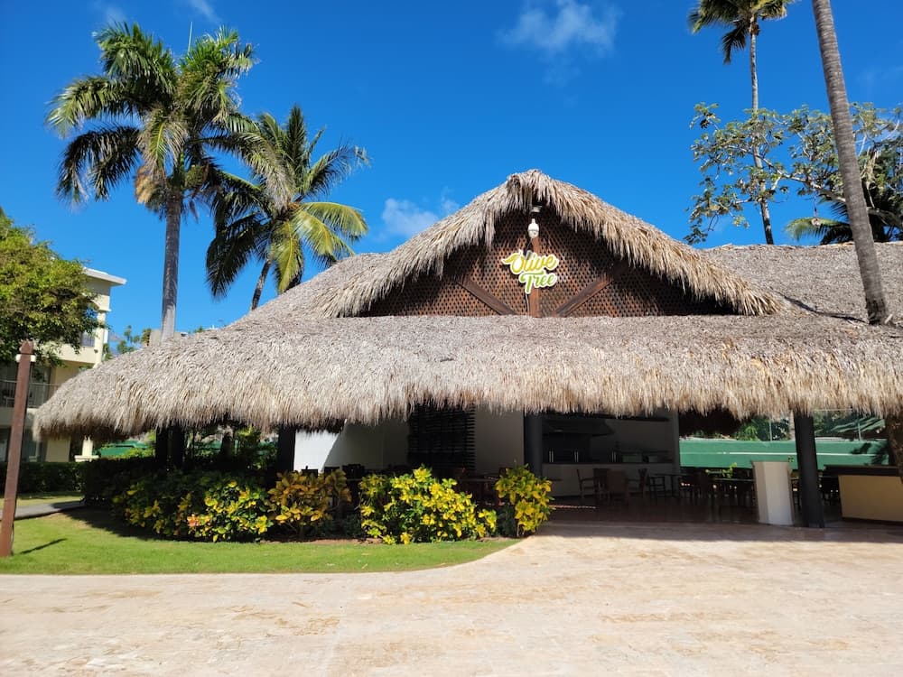 Impressive Premium Punta Cana — 15